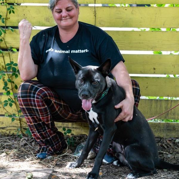 Enlarge Jack, a Adoptable Mixed Breed in Colorado Springs, CO image 6/6