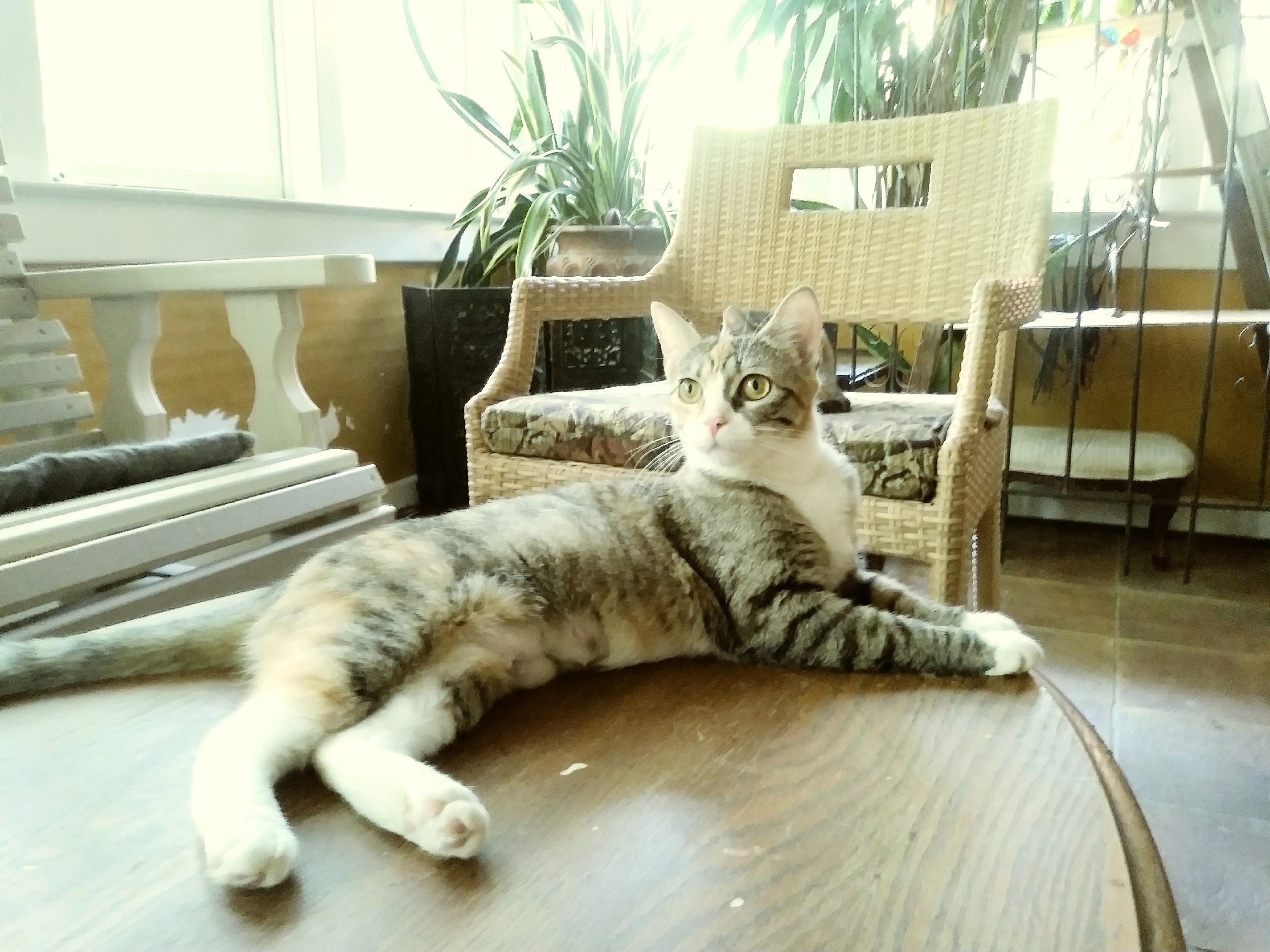 Lilly with huge green eyes!