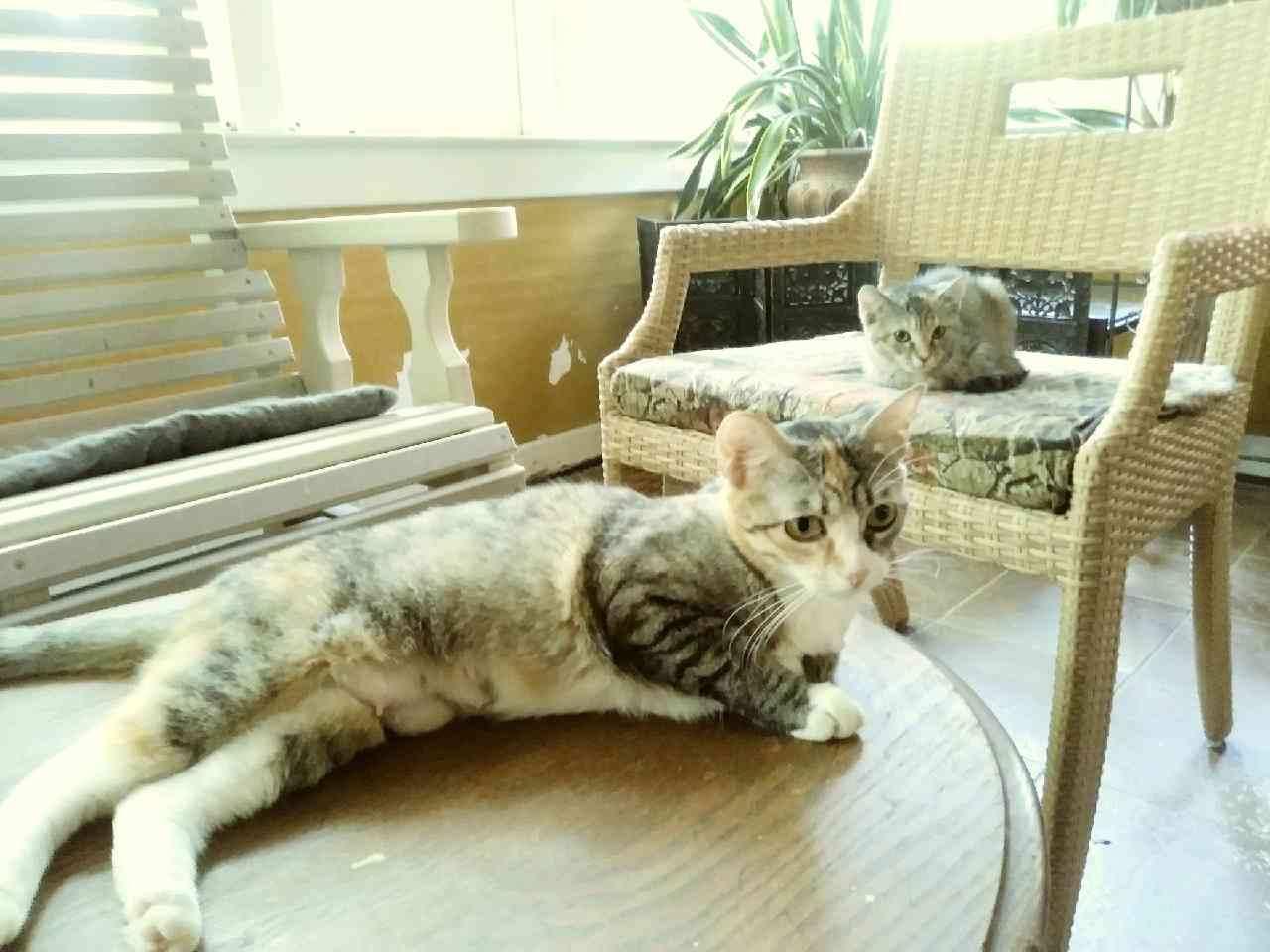 Lilly with huge green eyes!