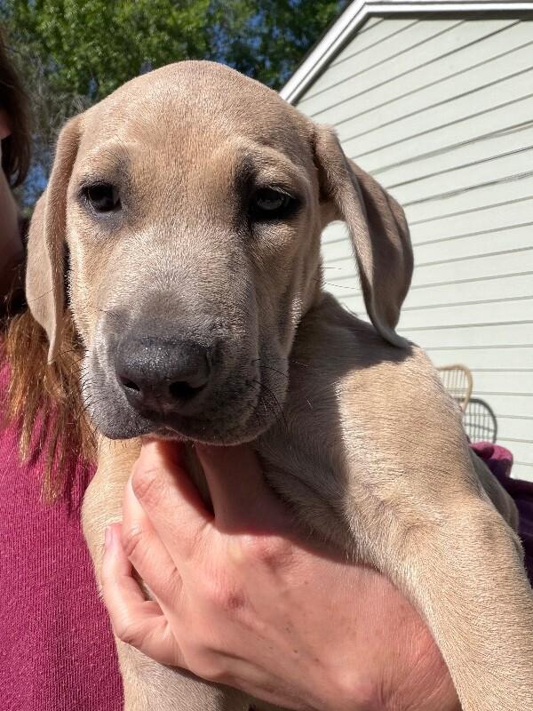 Cosmo Space — thumbnail 2