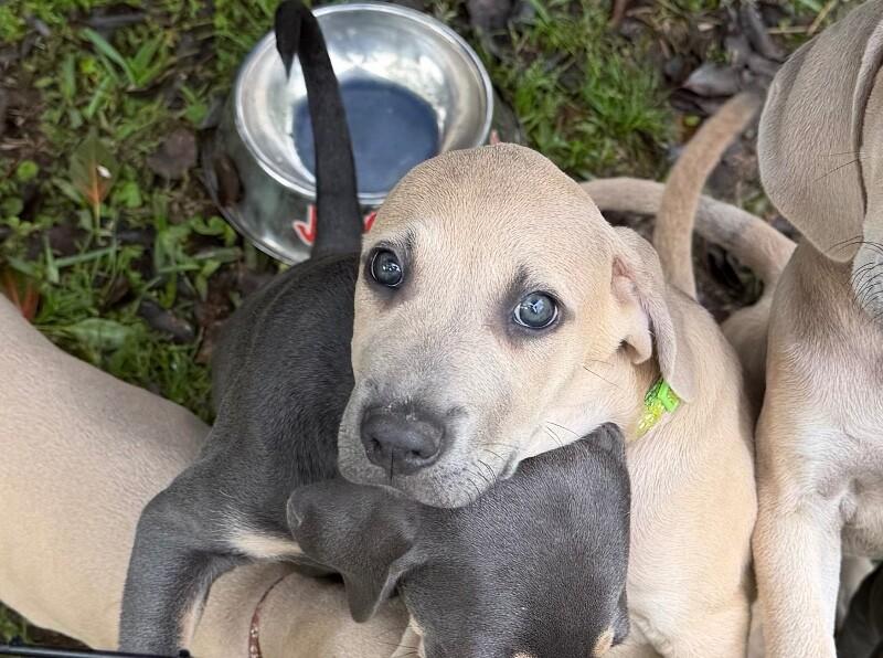 Cosmo Space — thumbnail 4