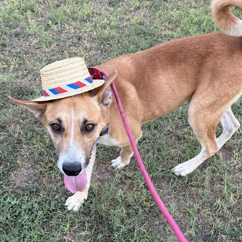 Flako — thumbnail 6