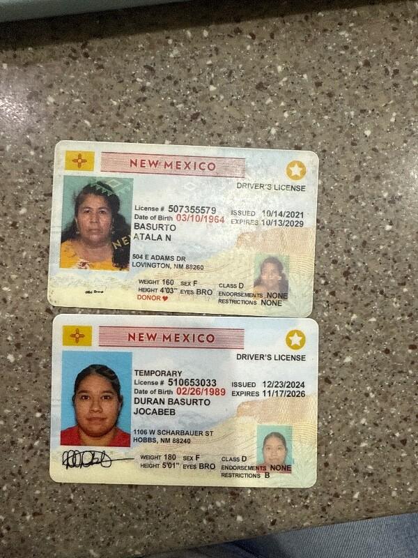 Hayden, a Adoptable Husky in Hobbs, NM image 1/3