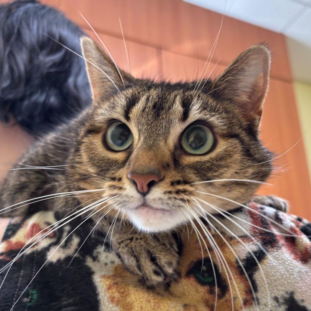 Ruby — thumbnail 2