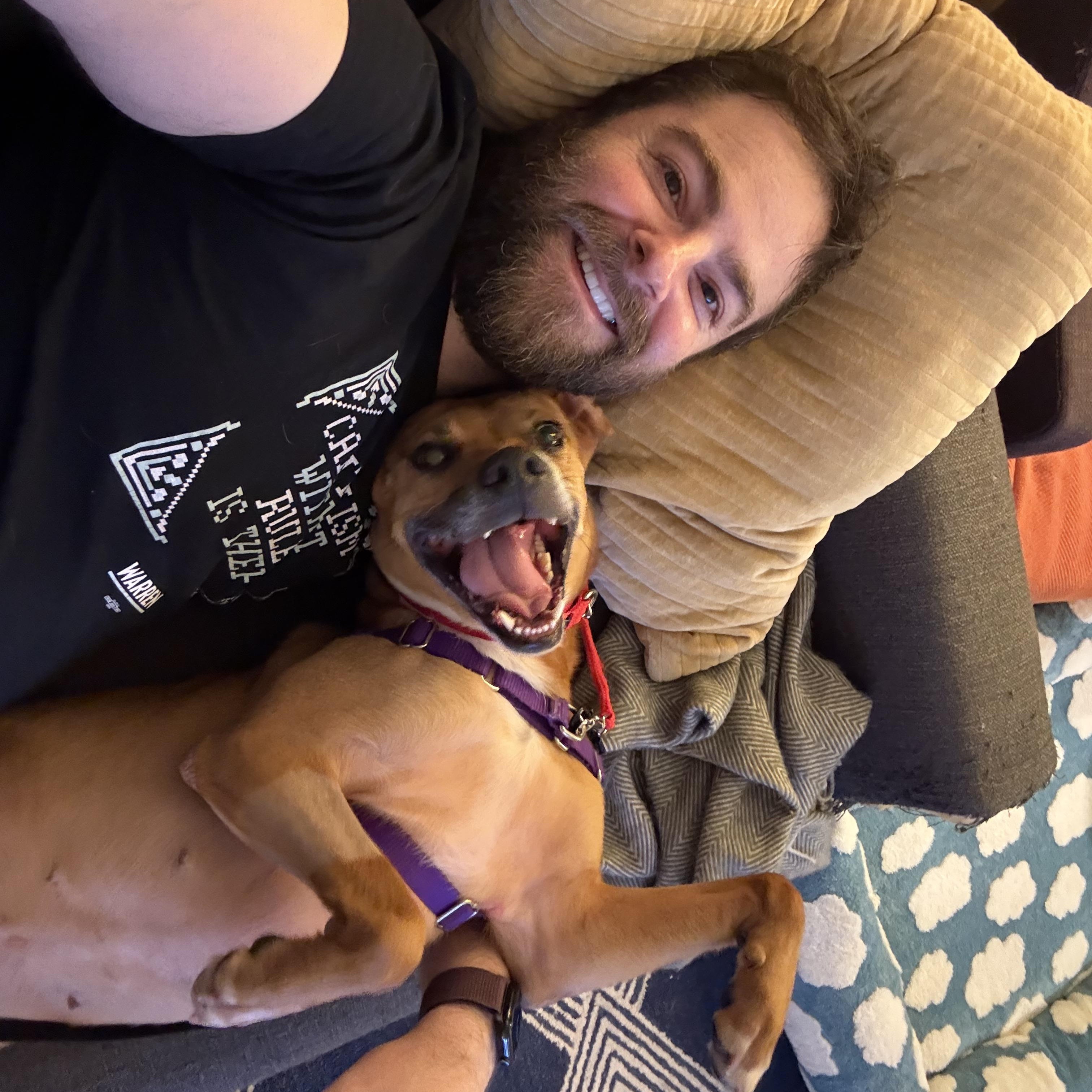 Enlarge Dolce, an adopted Mixed Breed in Brooklyn, NY image 3/5