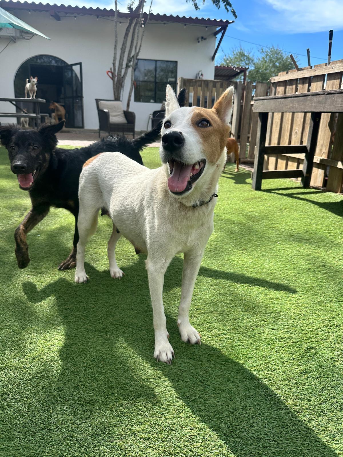 Ursa — thumbnail 6