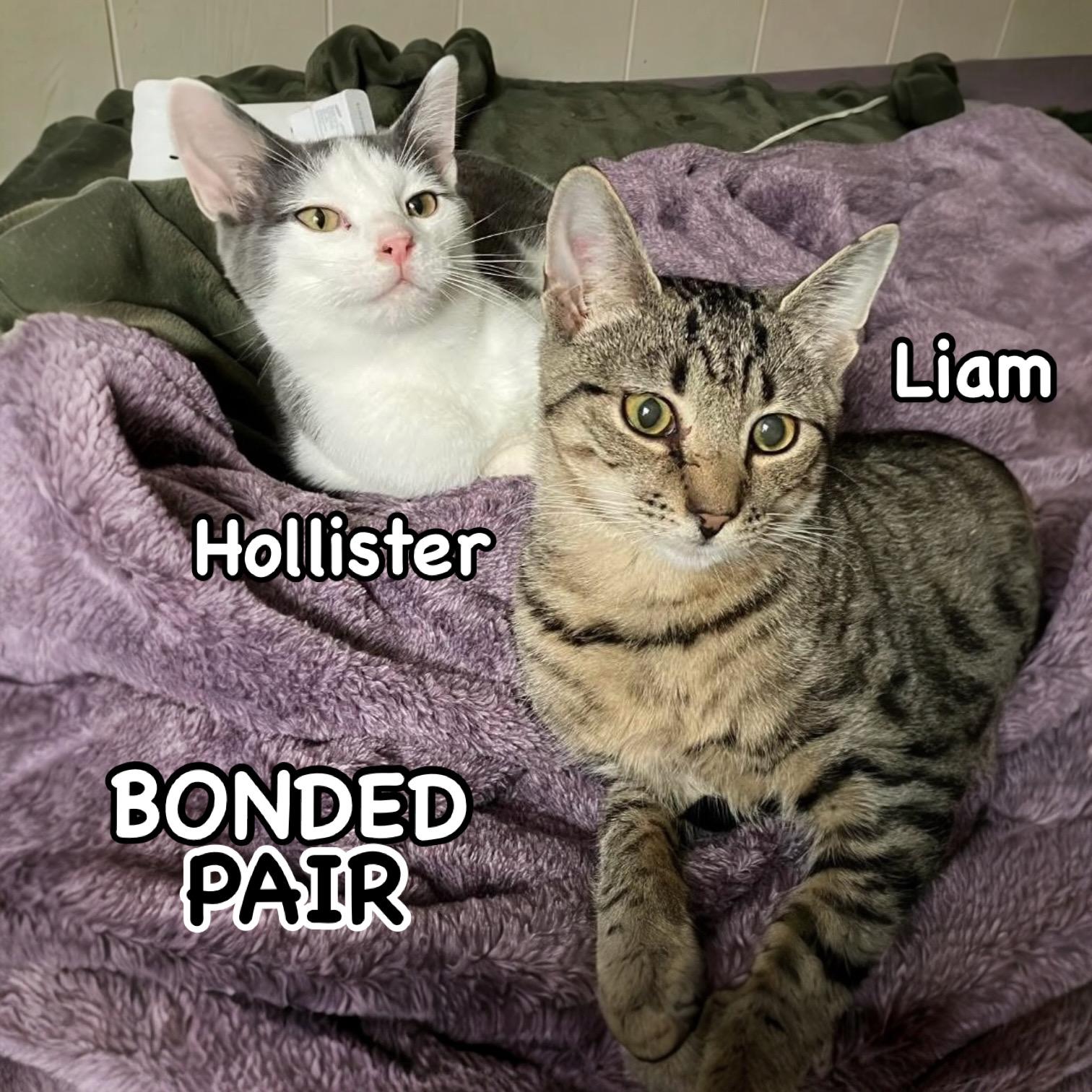 Liam