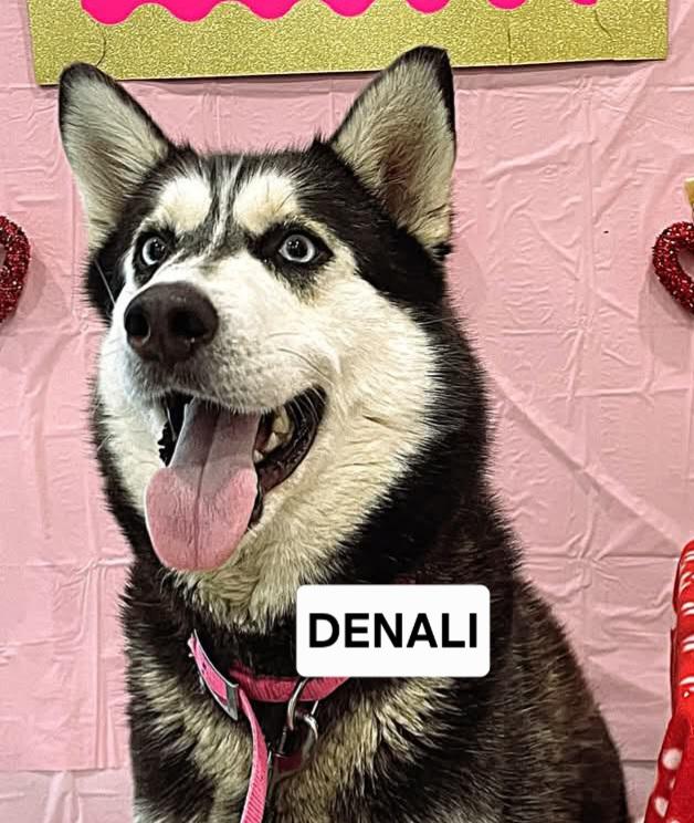 Denali