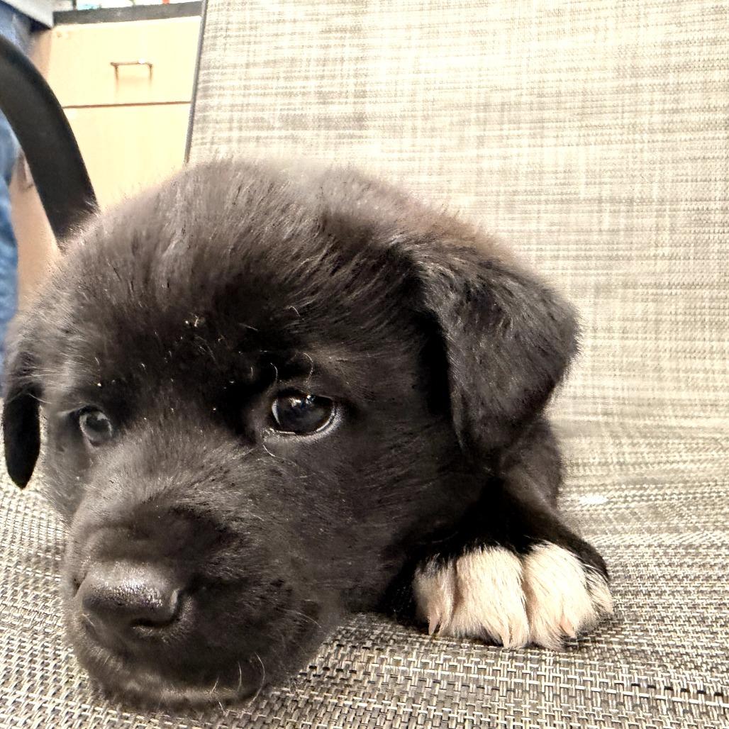 Ruth — thumbnail 2