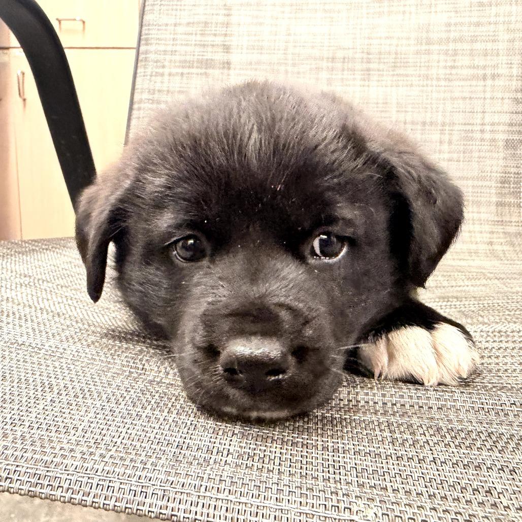 Ruth — thumbnail 3