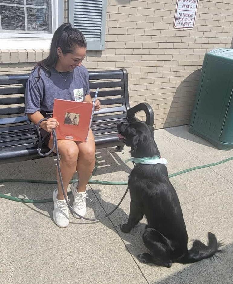 Enlarge Bart (Foster or Adopter Needed!), a Adoptable mixed breed in Westwood, NJ image 3/6