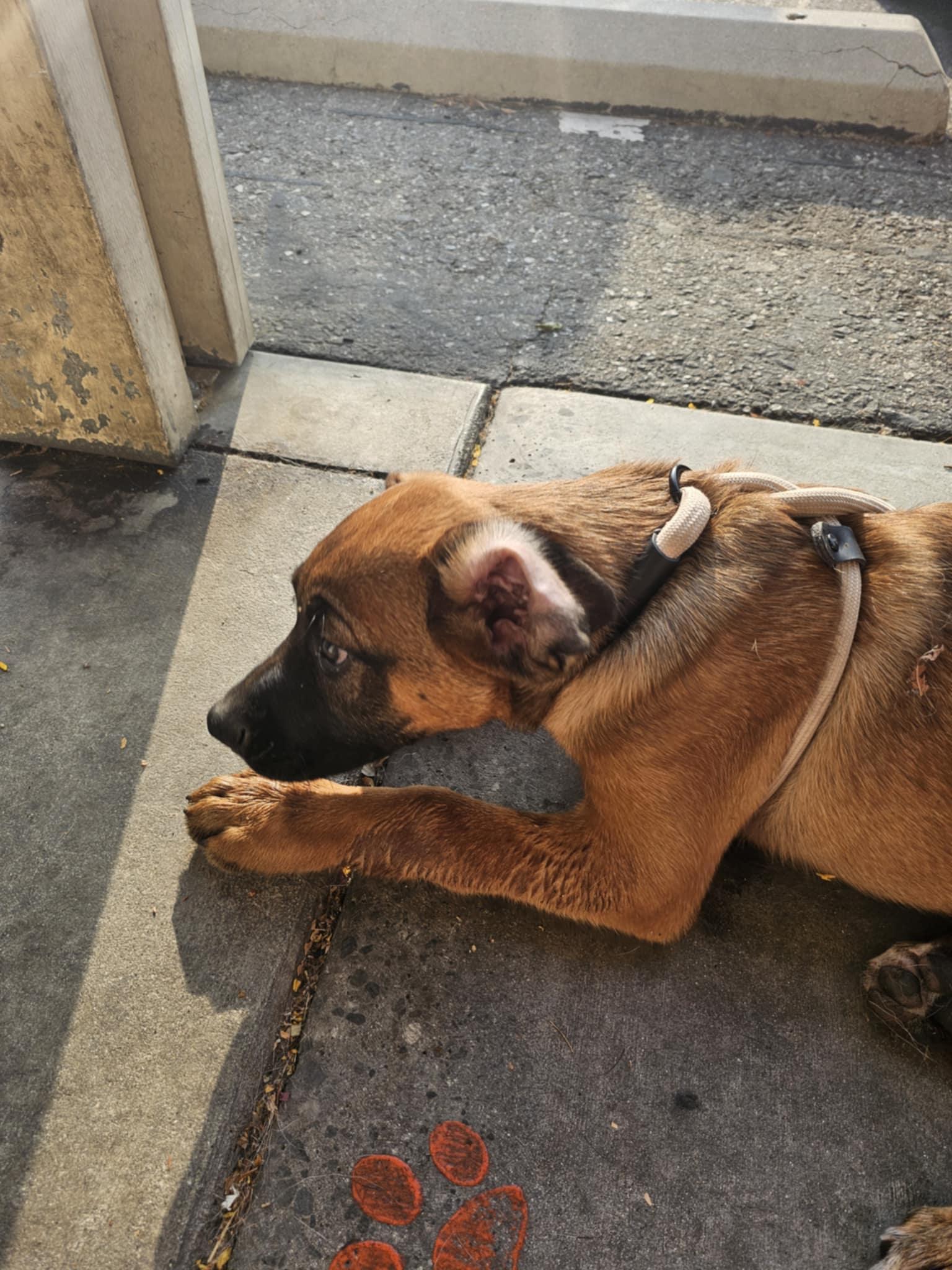 Max
