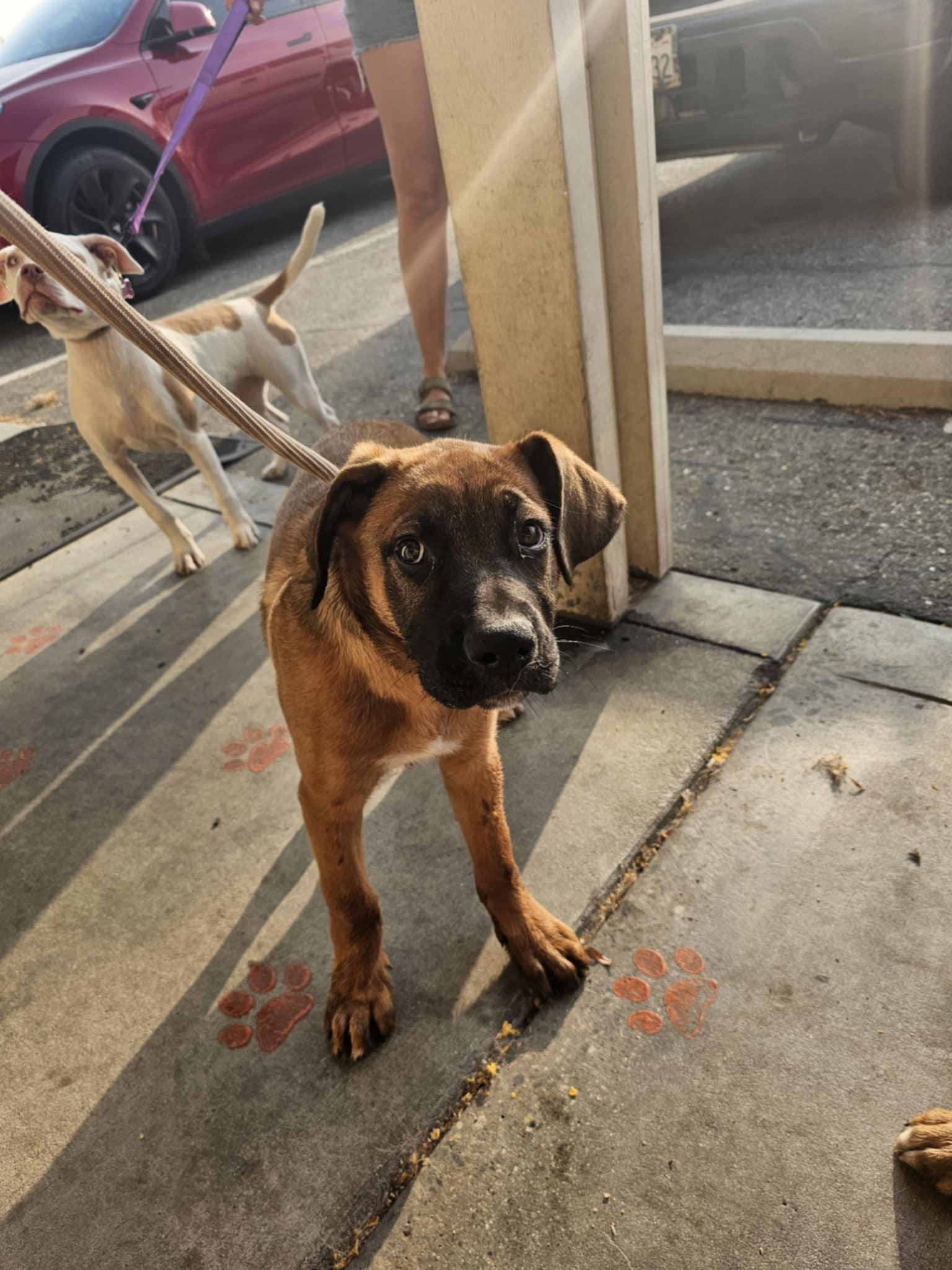 Max