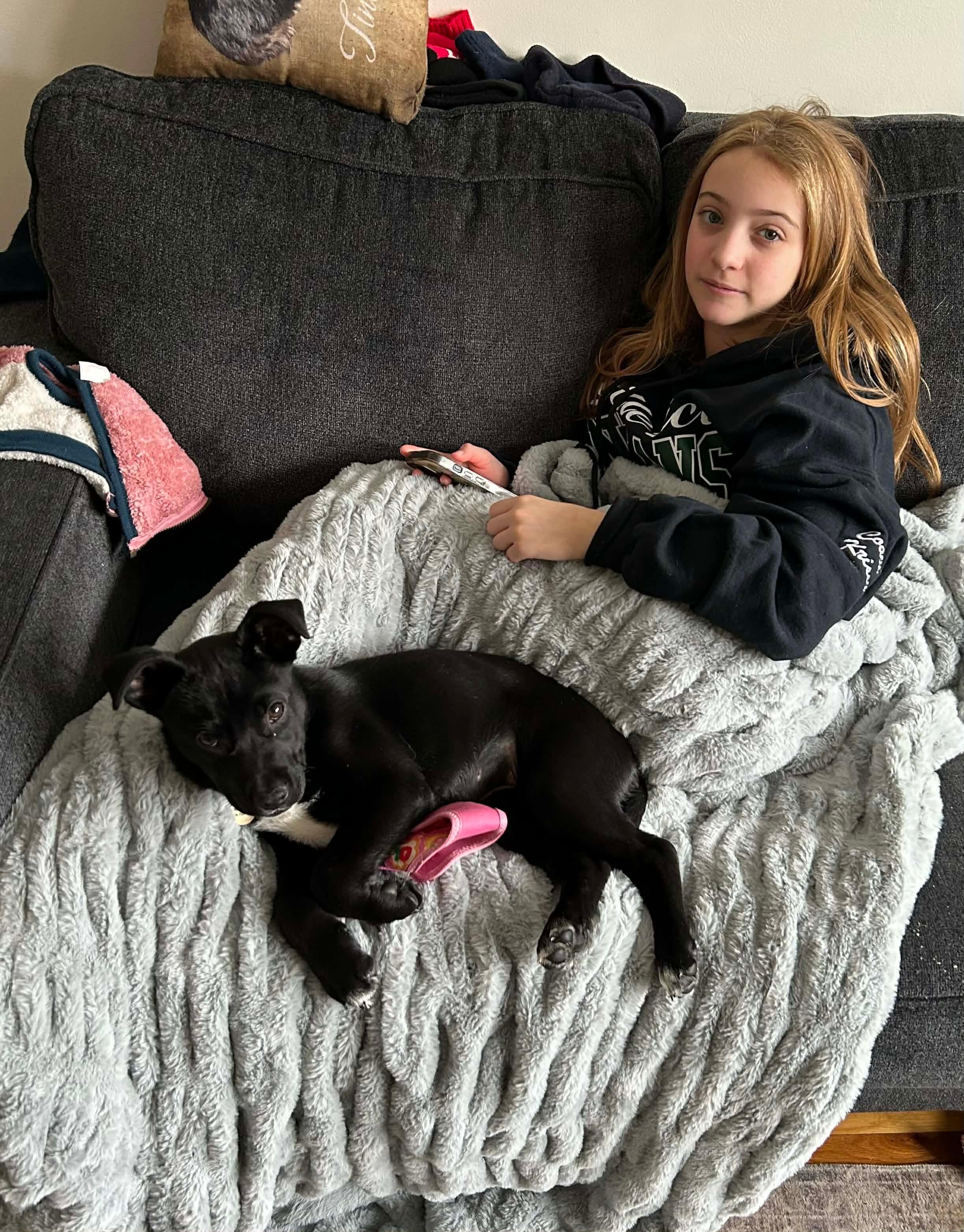 Enlarge Bernice, an adopted mixed breed in Billerica, MA image 4/5