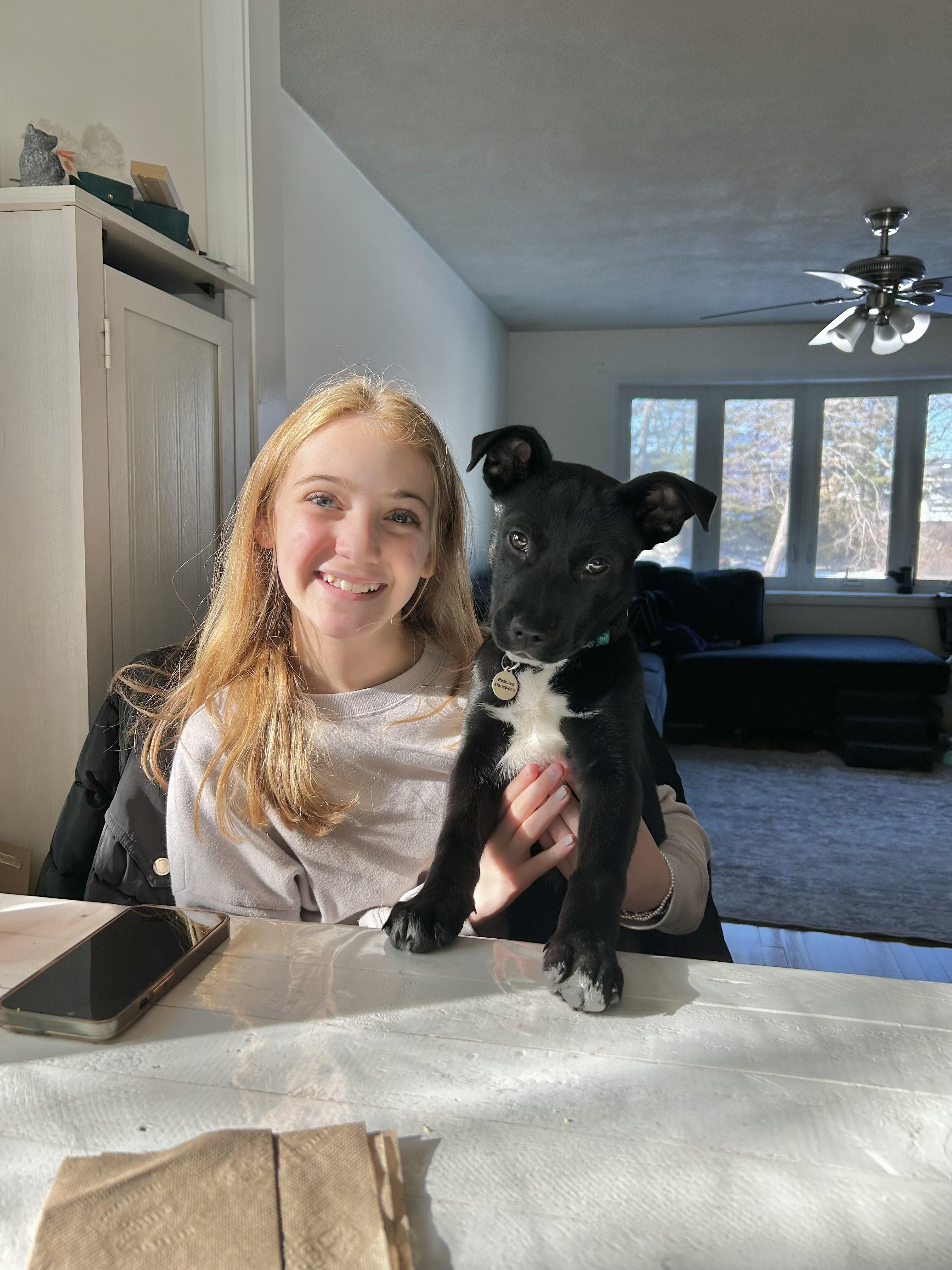 Enlarge Bernice, an adopted mixed breed in Billerica, MA image 3/5