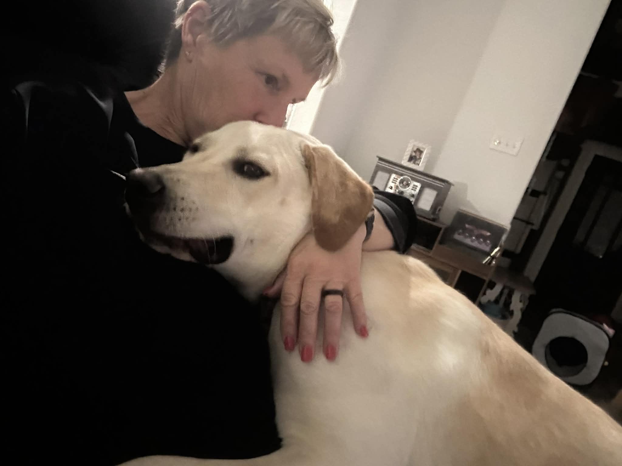 Roscoe, a ADOPTABLE mixed breed in Temple, TX image 4/5