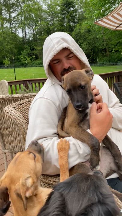 Enlarge Caramel, a ADOPTABLE mixed breed in Sammamish, WA video 2/6