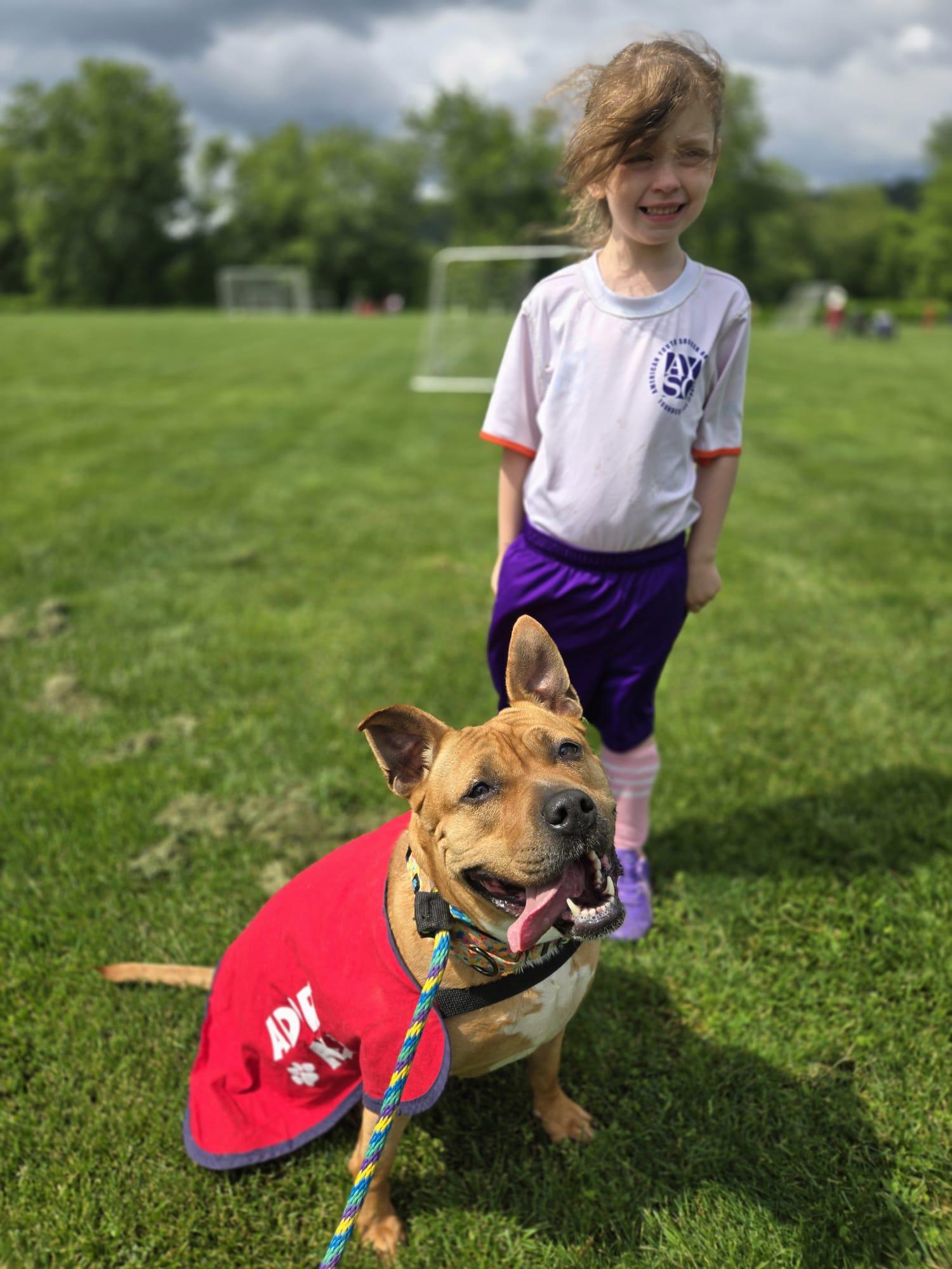 Enlarge Duchess, a Adoptable mixed breed in Danville, PA image 5/6