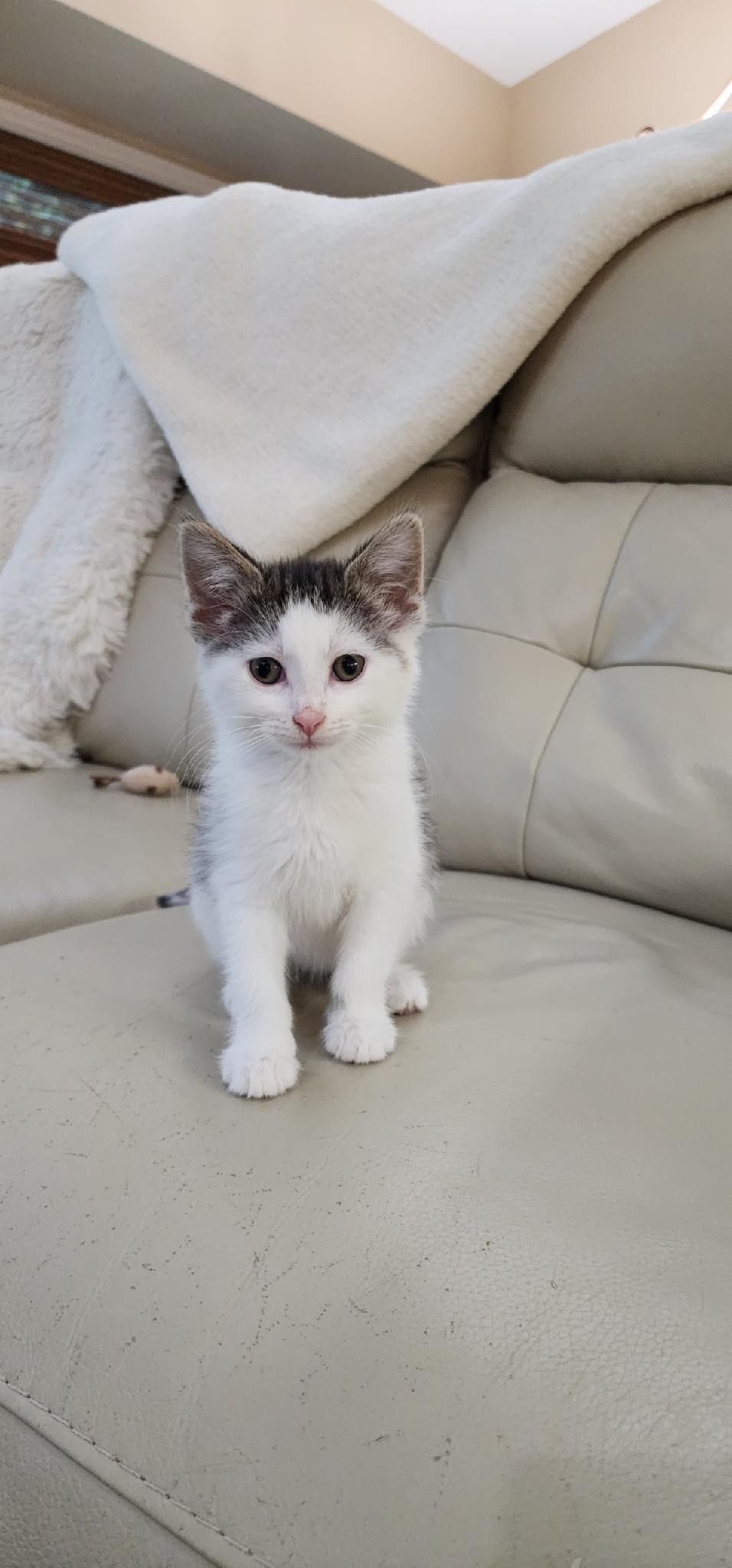 Robert Redford (Bob)