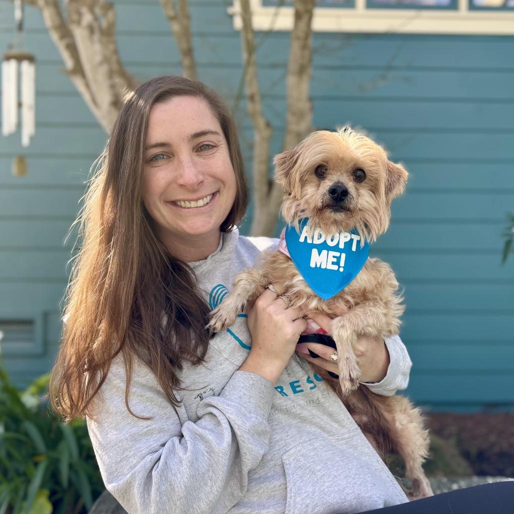 Sun Bear — thumbnail 4