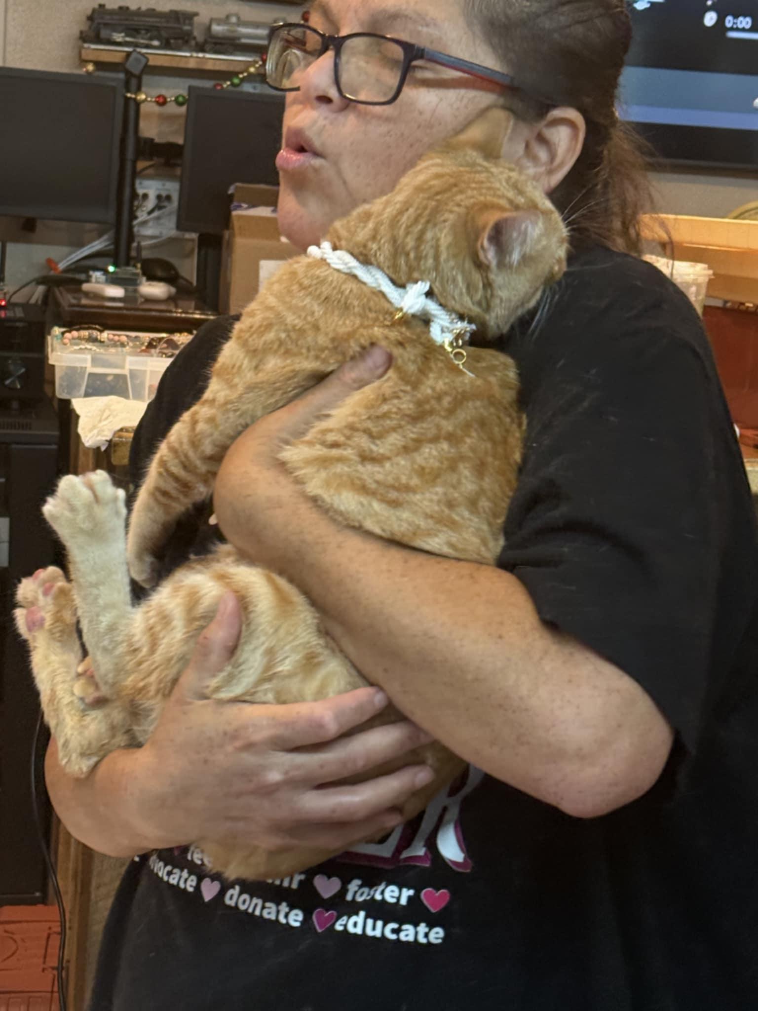 GARFIELD, a Adoptable mixed breed in Murrieta, CA image 5/6