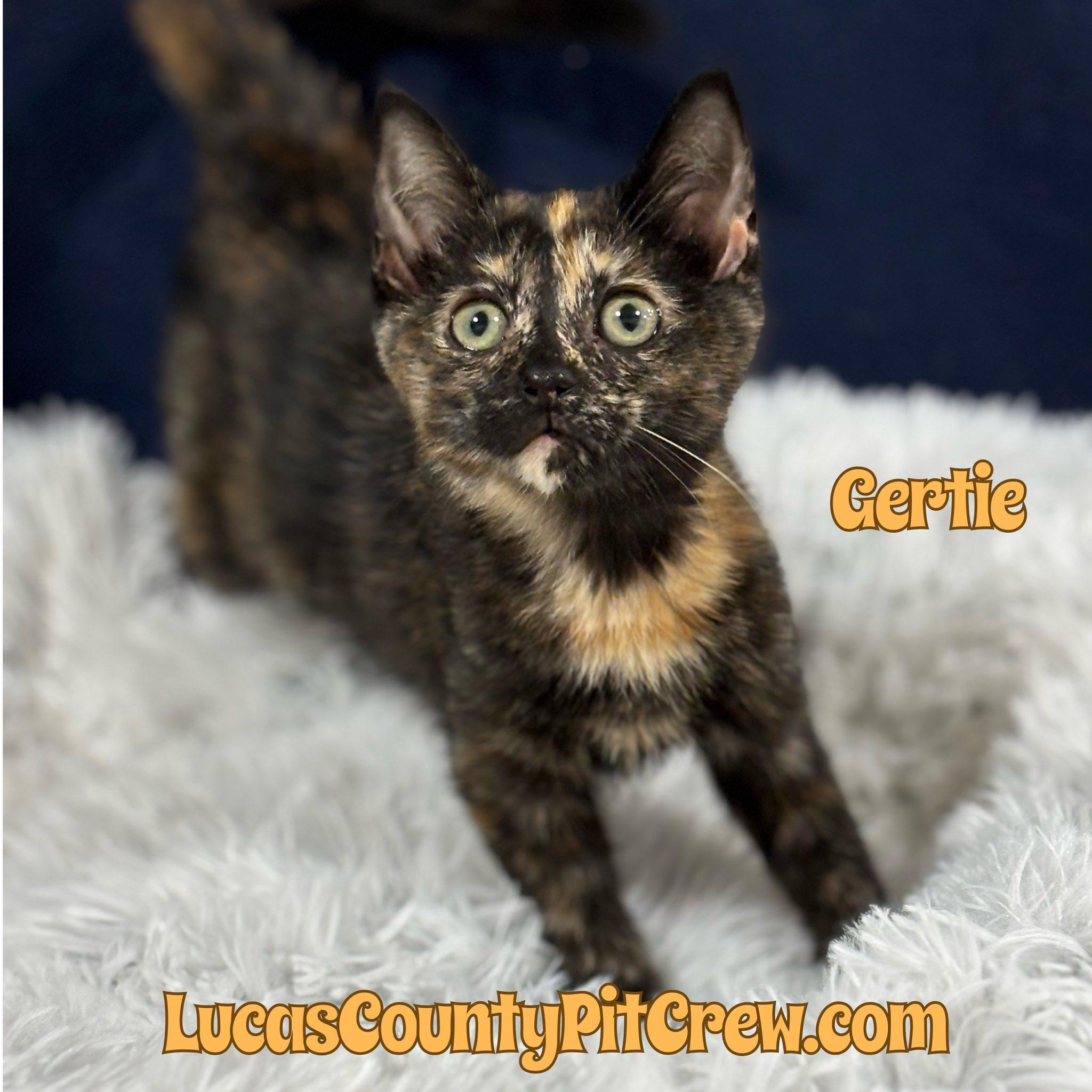 Gertie