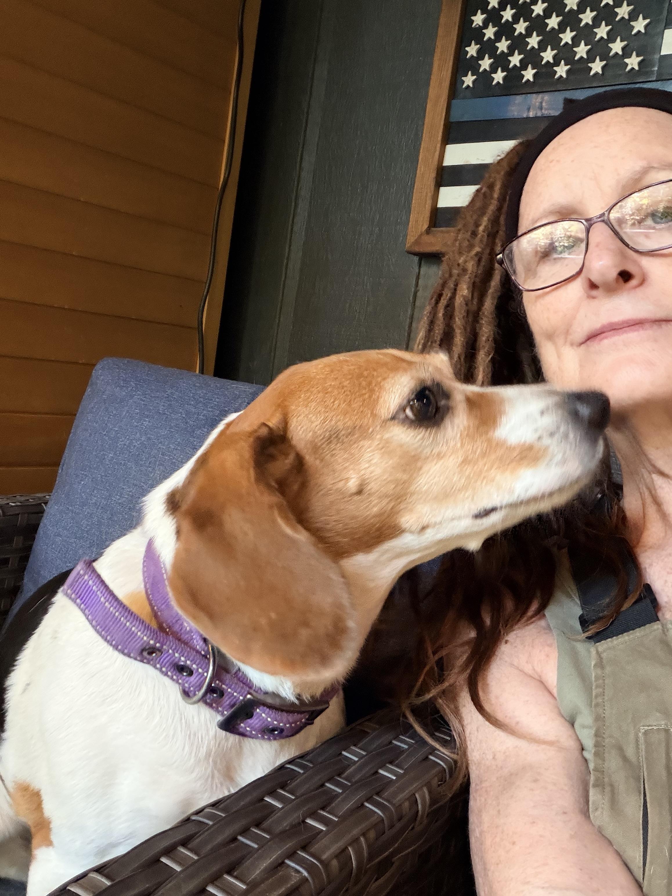 Enlarge Lucy, a ADOPTABLE Beagle in Rutherfordton, NC image 4/4