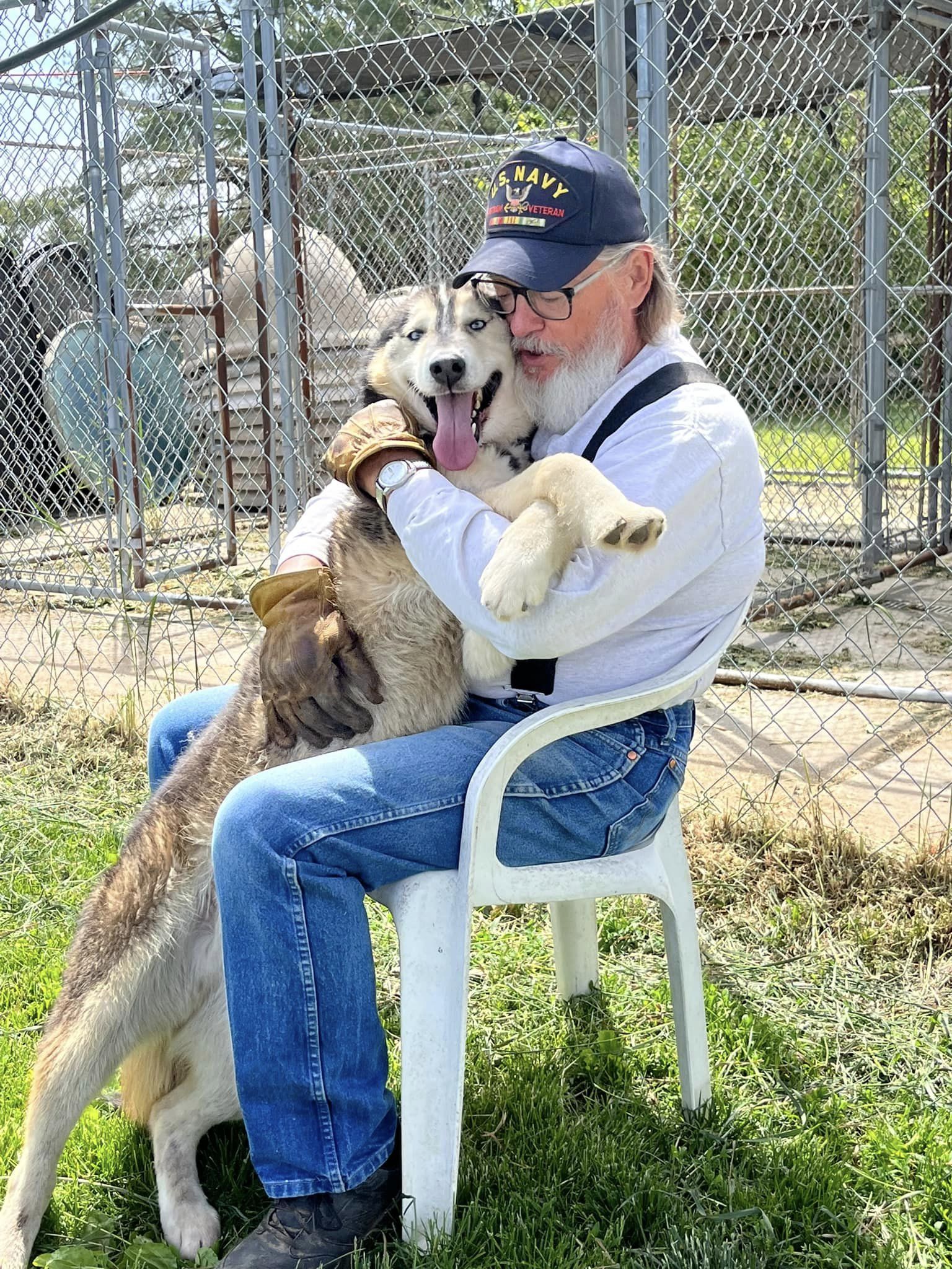 Thor, a Adoptable mixed breed in Harvard, IL image 4/6
