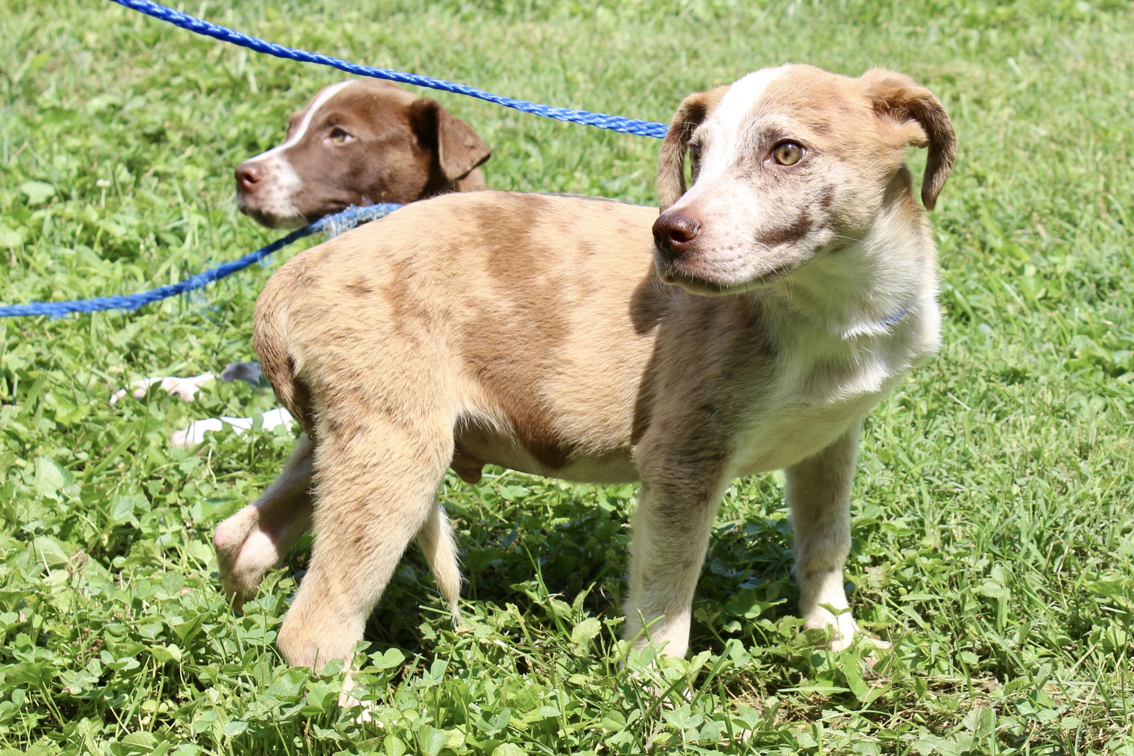 TANGO — thumbnail 3