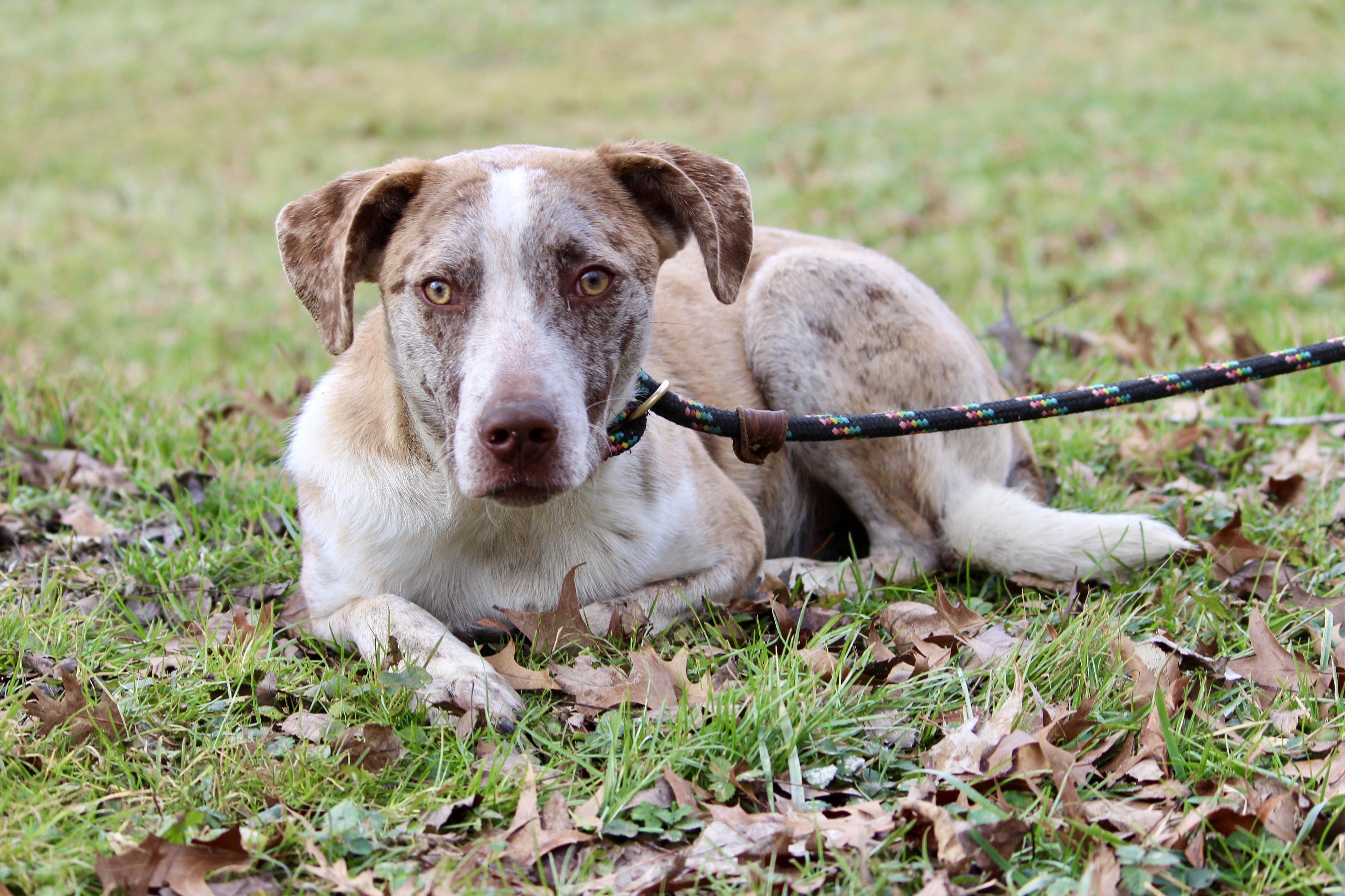 TANGO — thumbnail 5