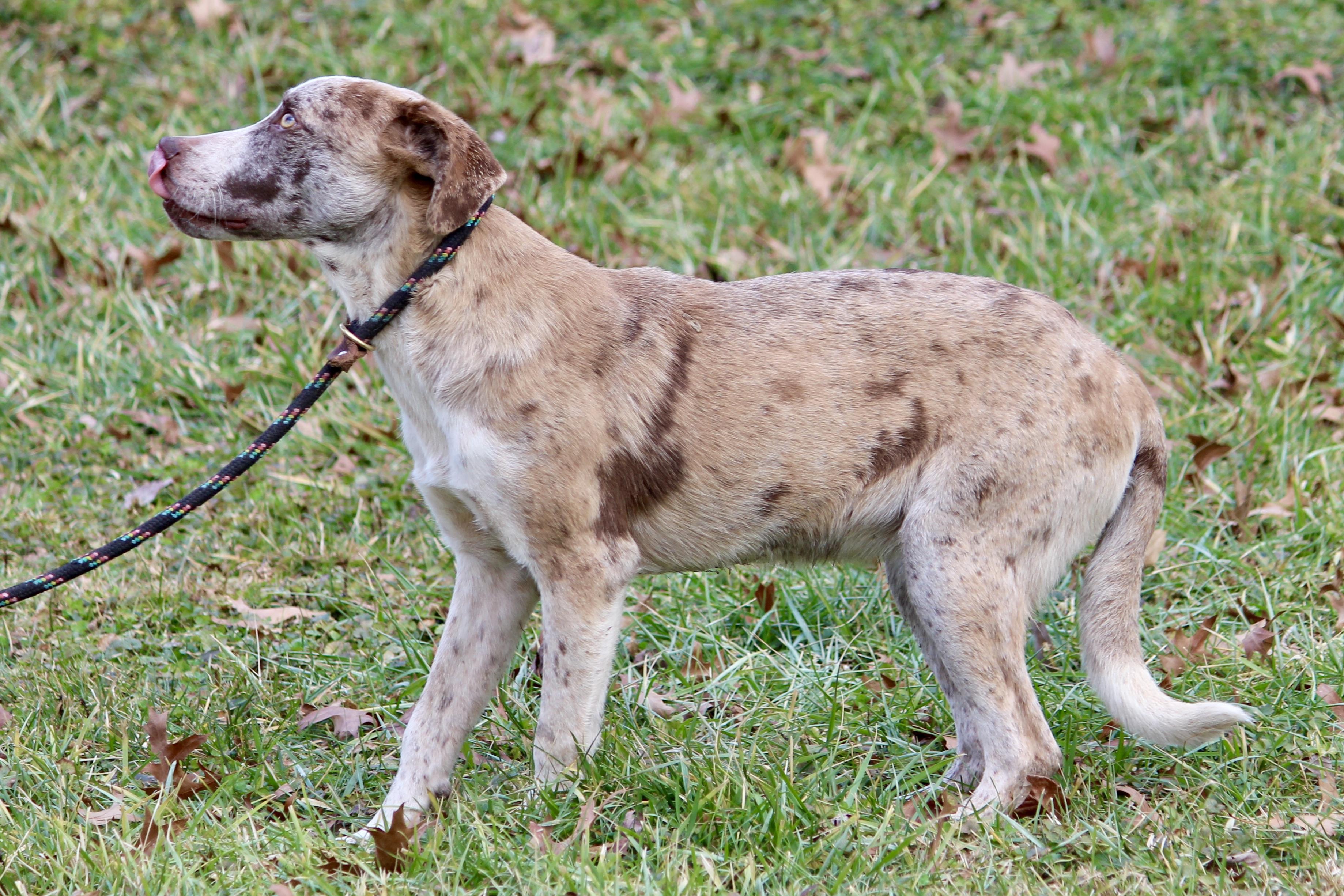 TANGO — thumbnail 6