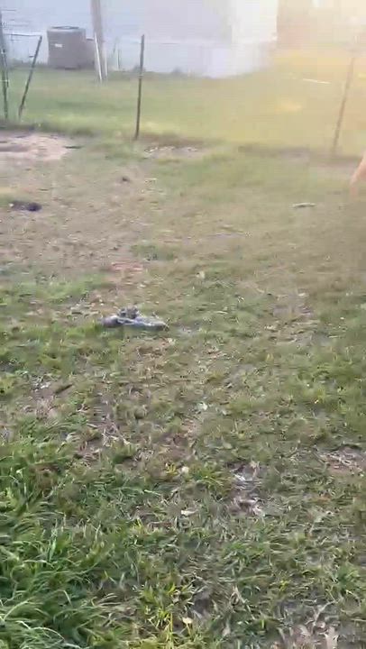 Enlarge Victor, a Adoptable mixed breed in Syracuse, NY video 5/6