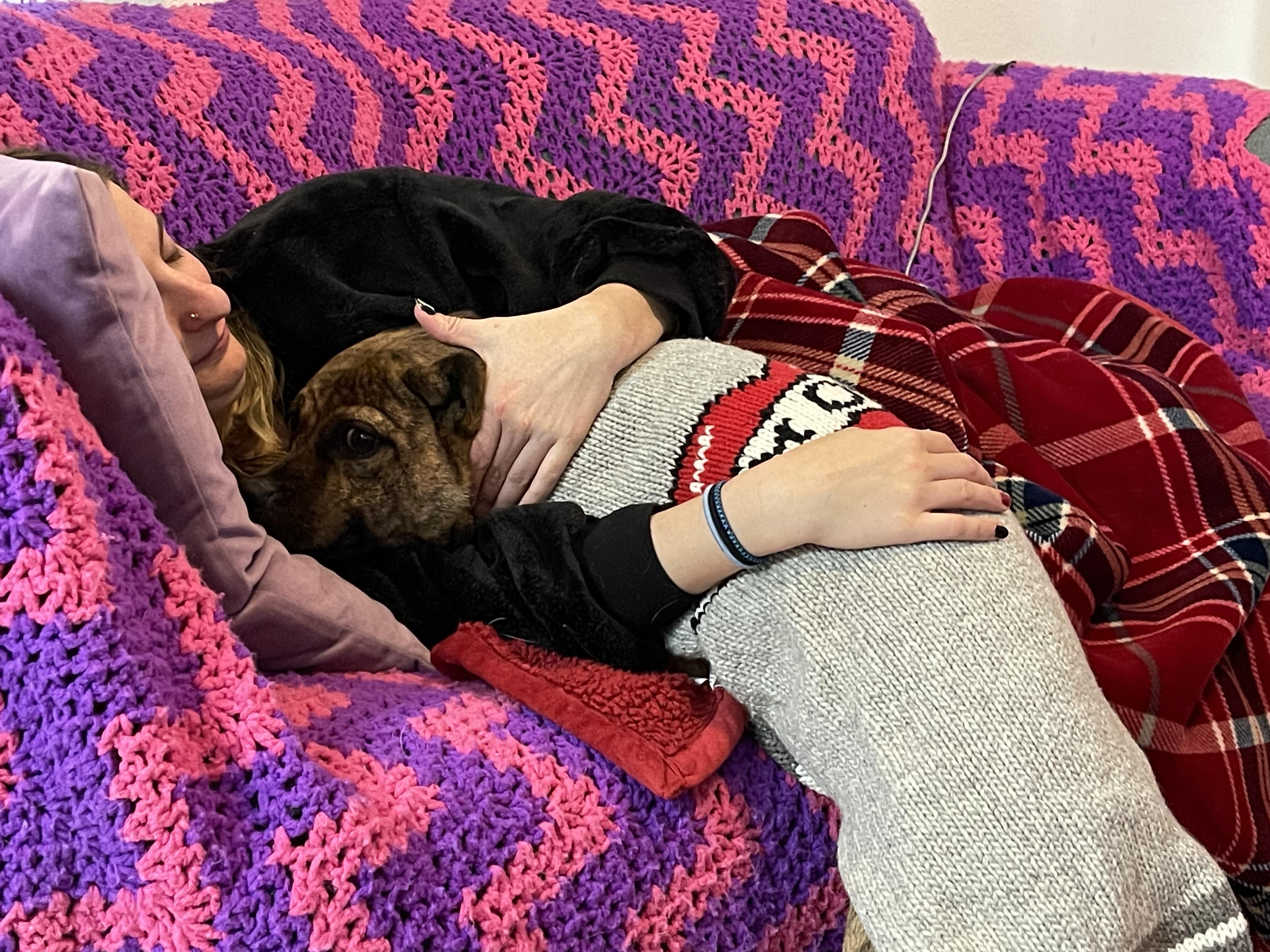 Ginger, a Adoptable Pit Bull Terrier in Albuquerque, NM image 4/5