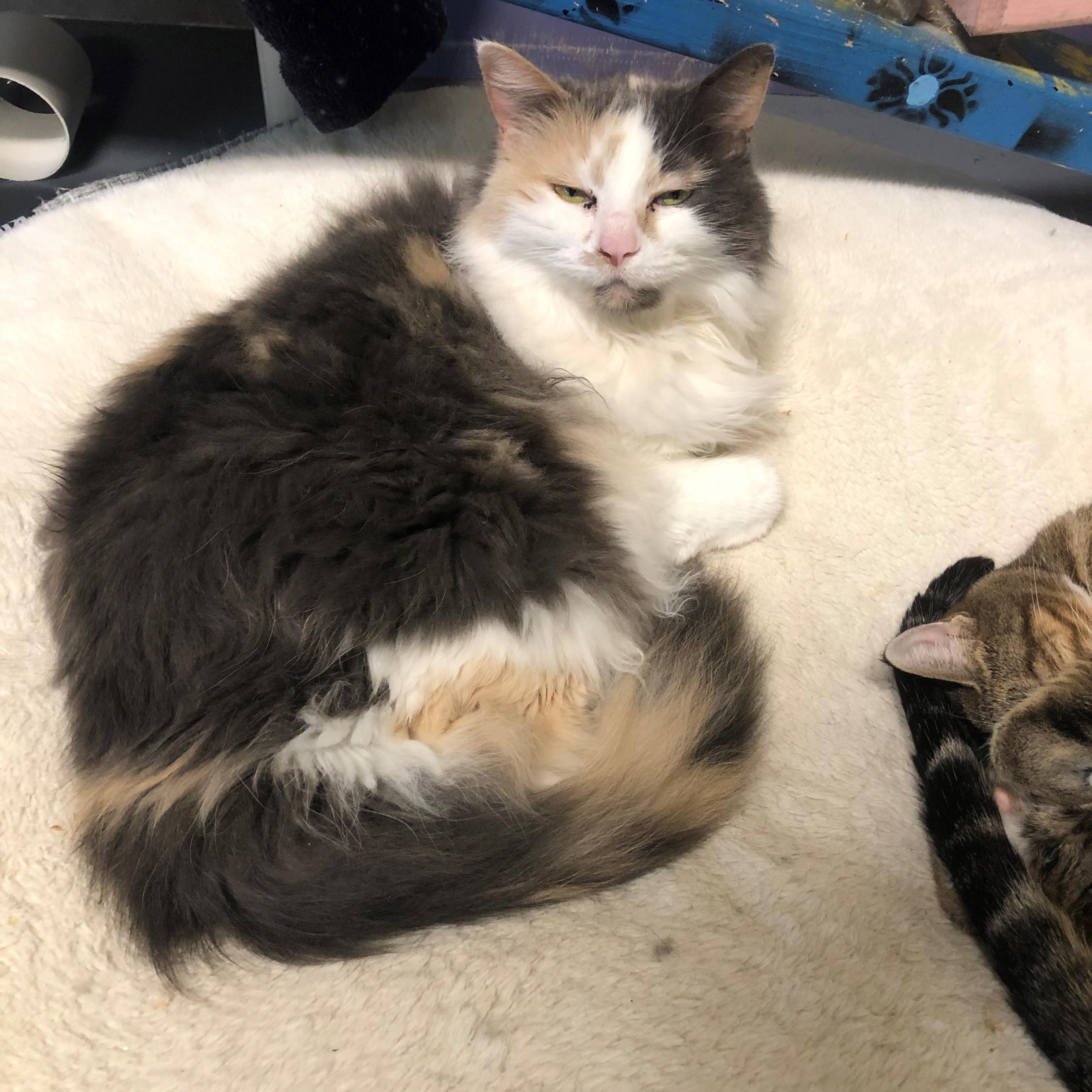 Sarah — thumbnail 2