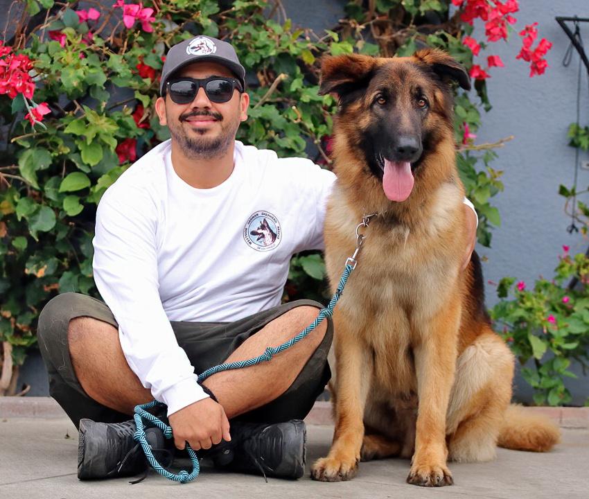 Enlarge Shiloh von Siegen, a Adoptable German Shepherd Dog in Los Angeles, CA image 2/6