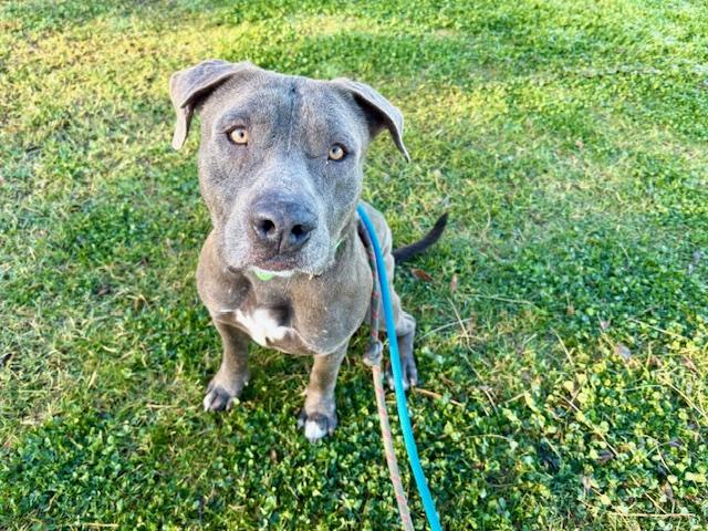 MISSISSIPPI* — thumbnail 2