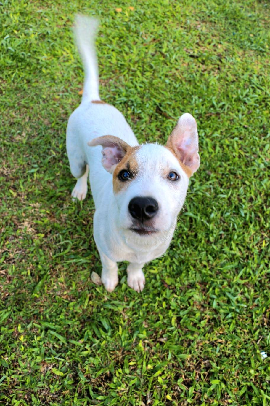 Parche "absolutely Loveable!" thumbnail 2