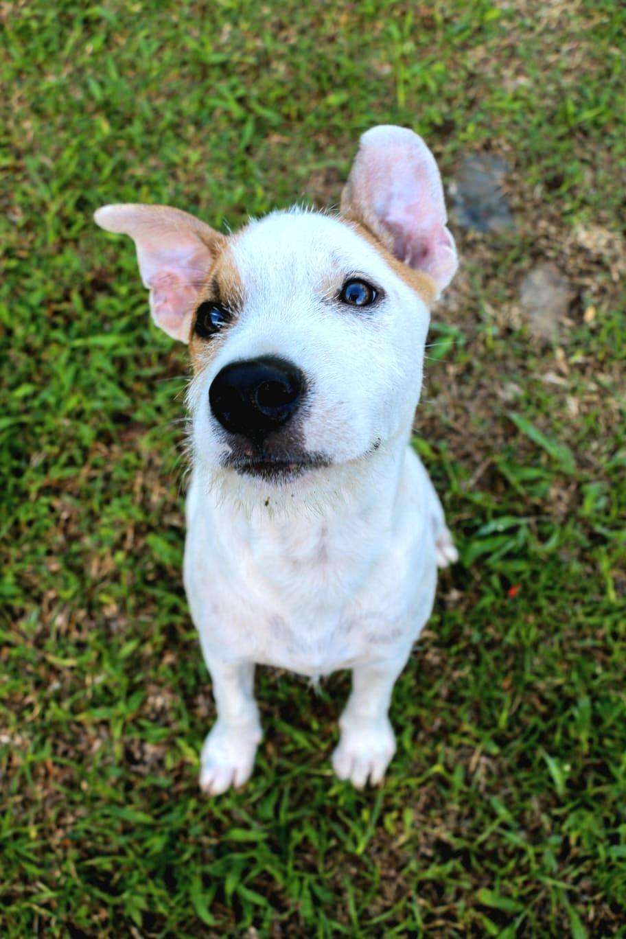 Parche "absolutely Loveable!" thumbnail 3