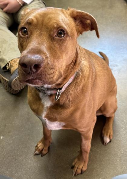 Penny — thumbnail 2