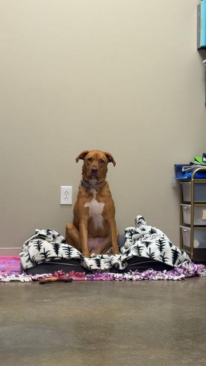 Penny — thumbnail 4