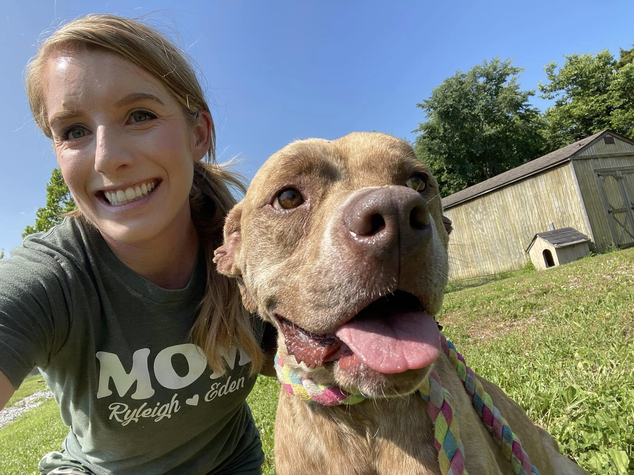 Enlarge Charlie, a ADOPTABLE mixed breed in Sulphur, KY image 4/6