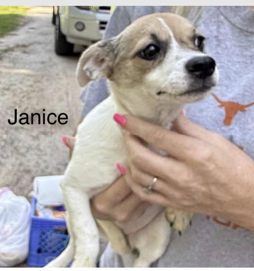 Janice
