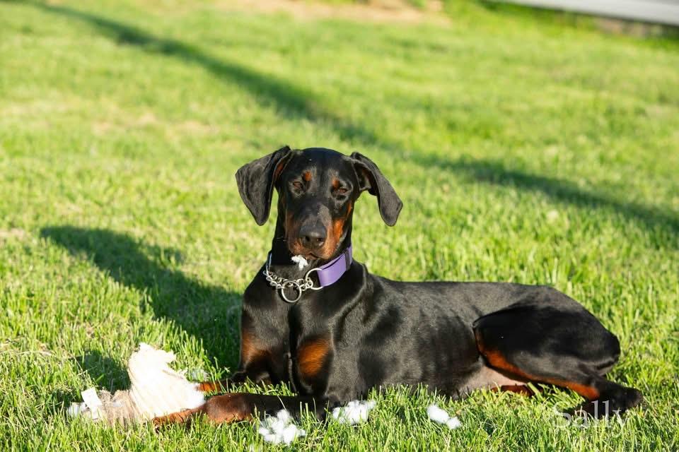 Sally photo 1