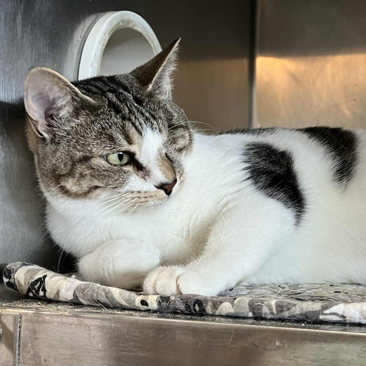 Ariel - bonded to Susu