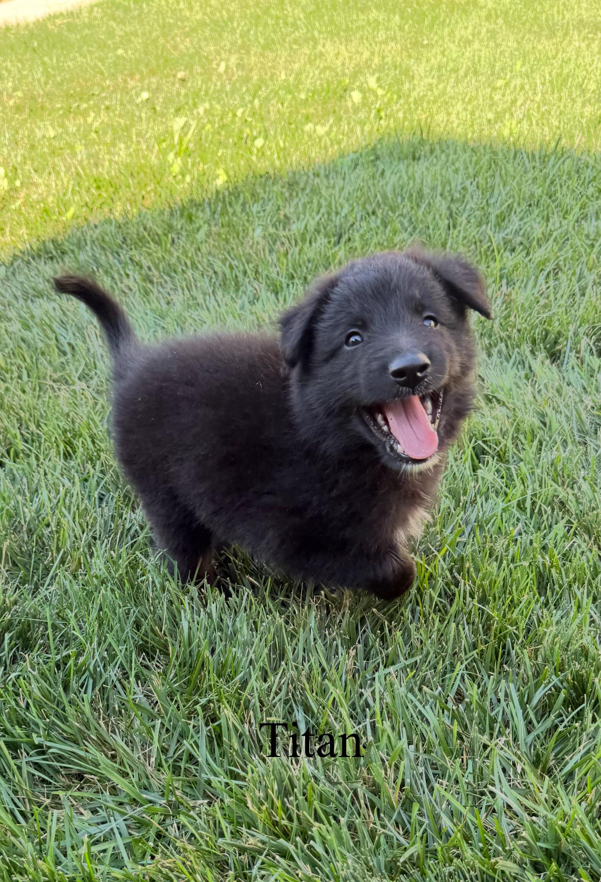 Titan!!, Baby Male unknown