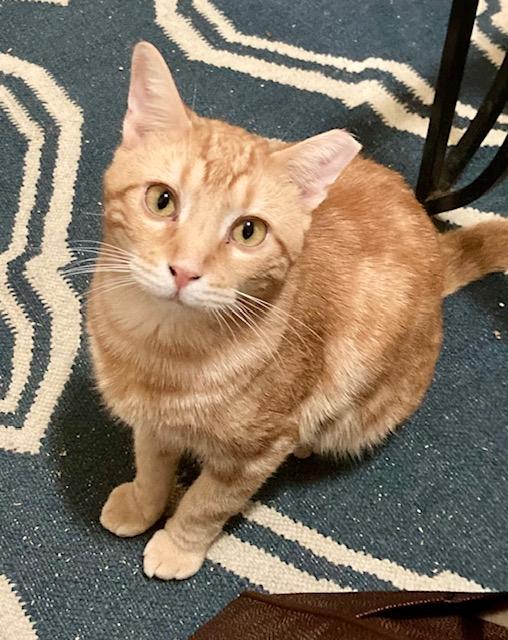 Rusty