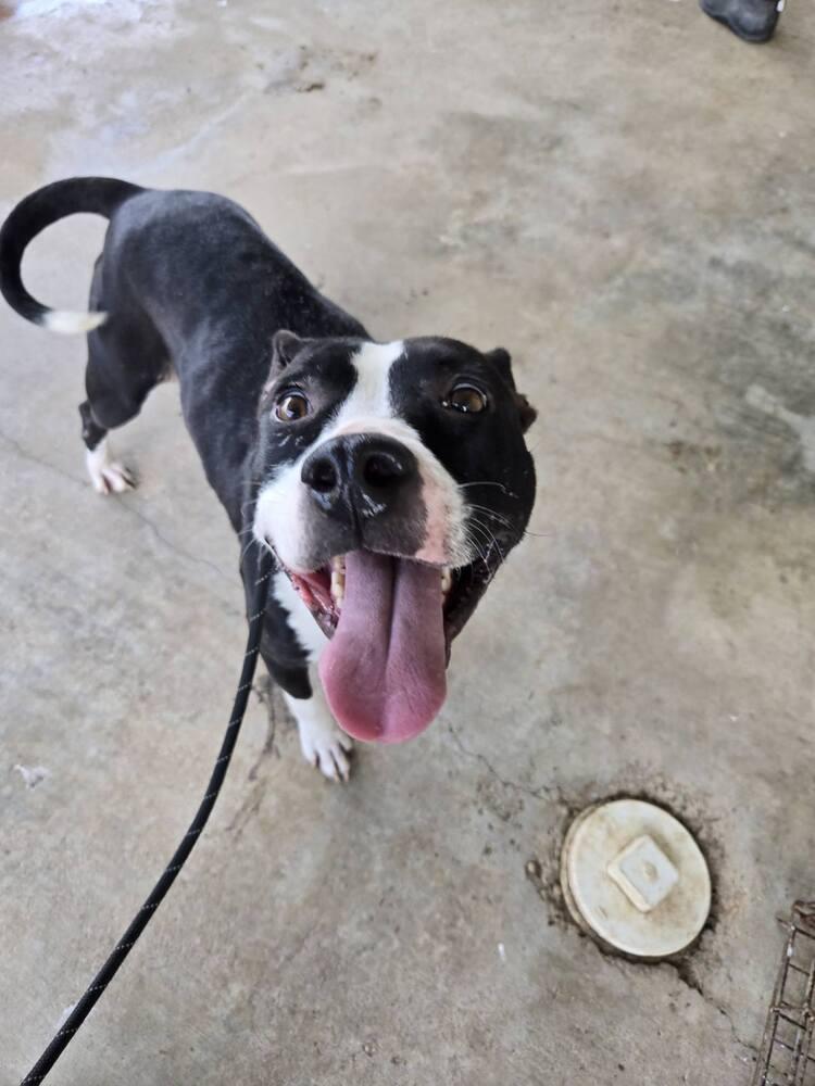 Grace — thumbnail 3