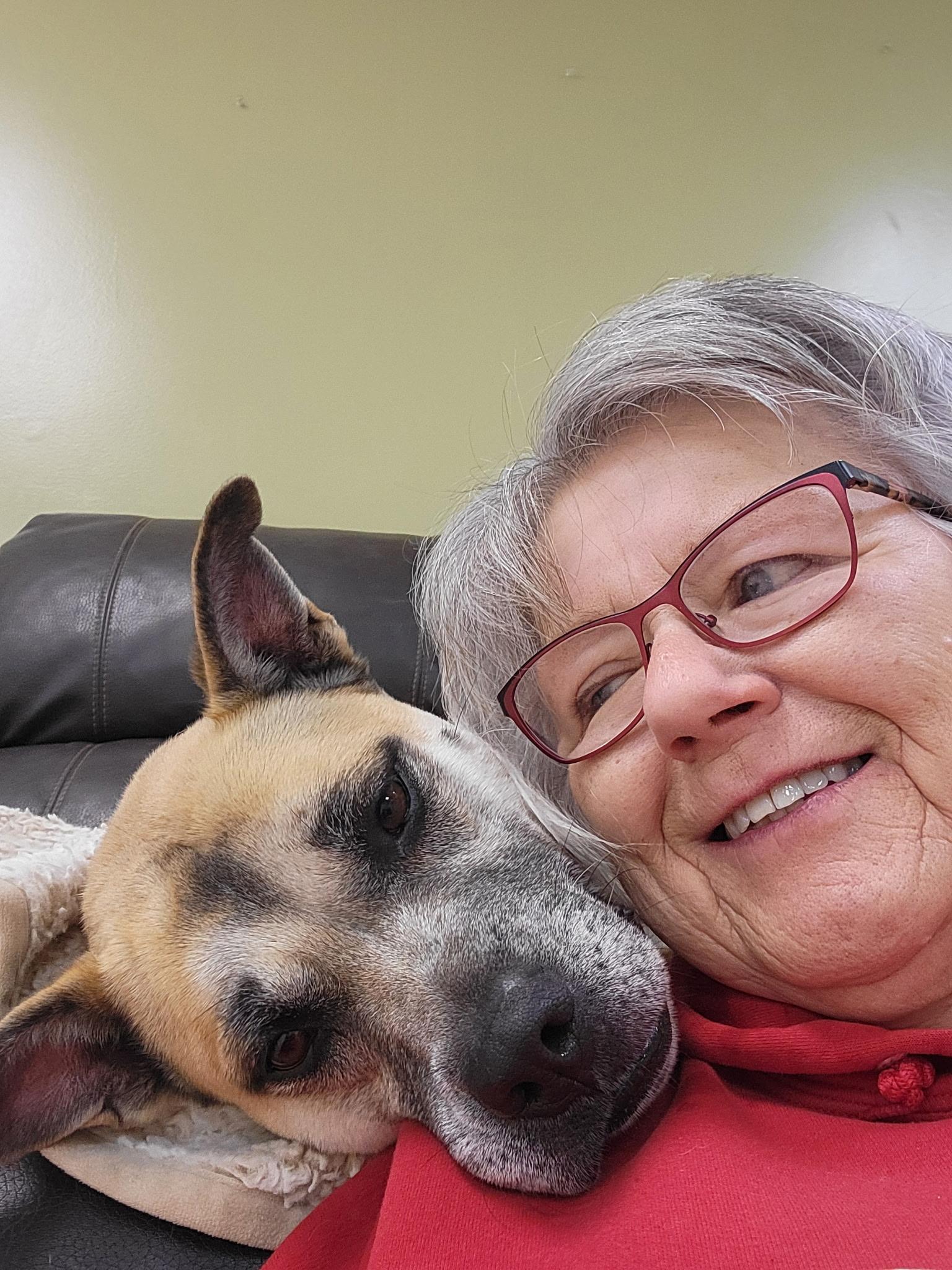 Enlarge Rita Moreno, a Adoptable mixed breed in Wilmington, OH image 5/6