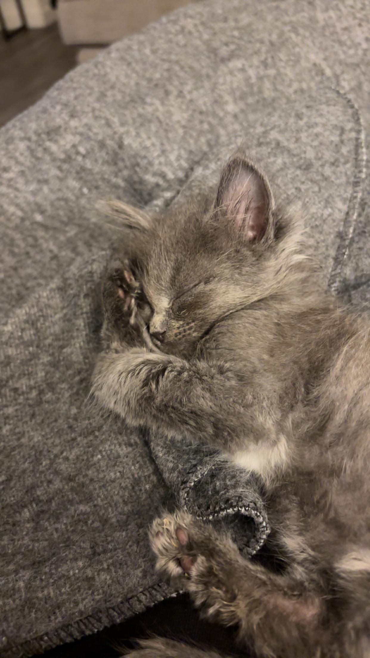 Mei and Jane - bonded pair