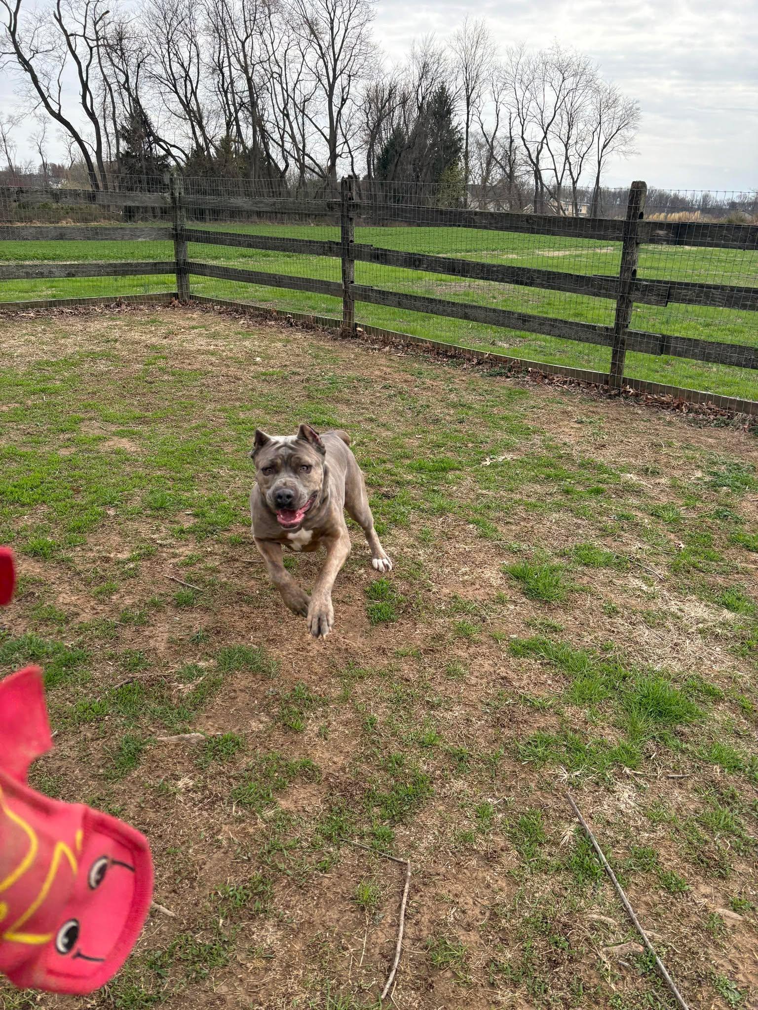 Penelope photo 1